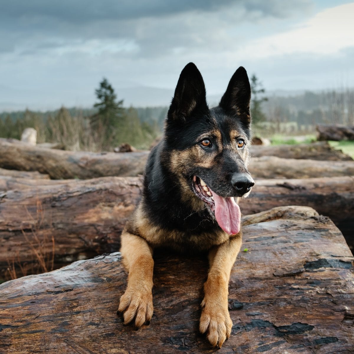 NED'S WISH: CHARITY OF THE MONTH
