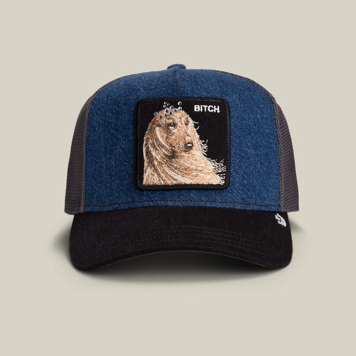 HOUND DAWG