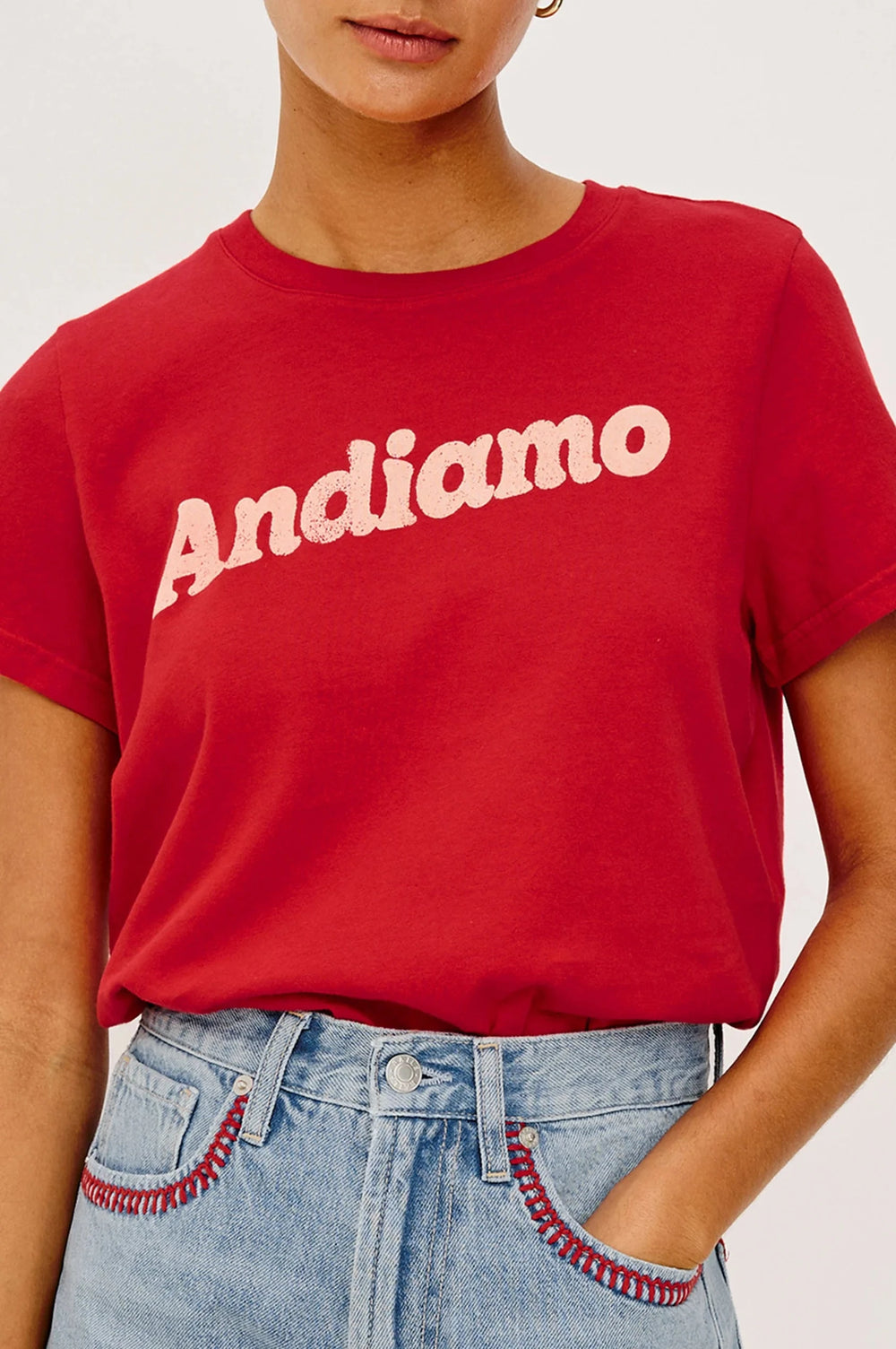 ANDIAMO CLASSIC CREW T-SHIRT T-Shirt RAILS 