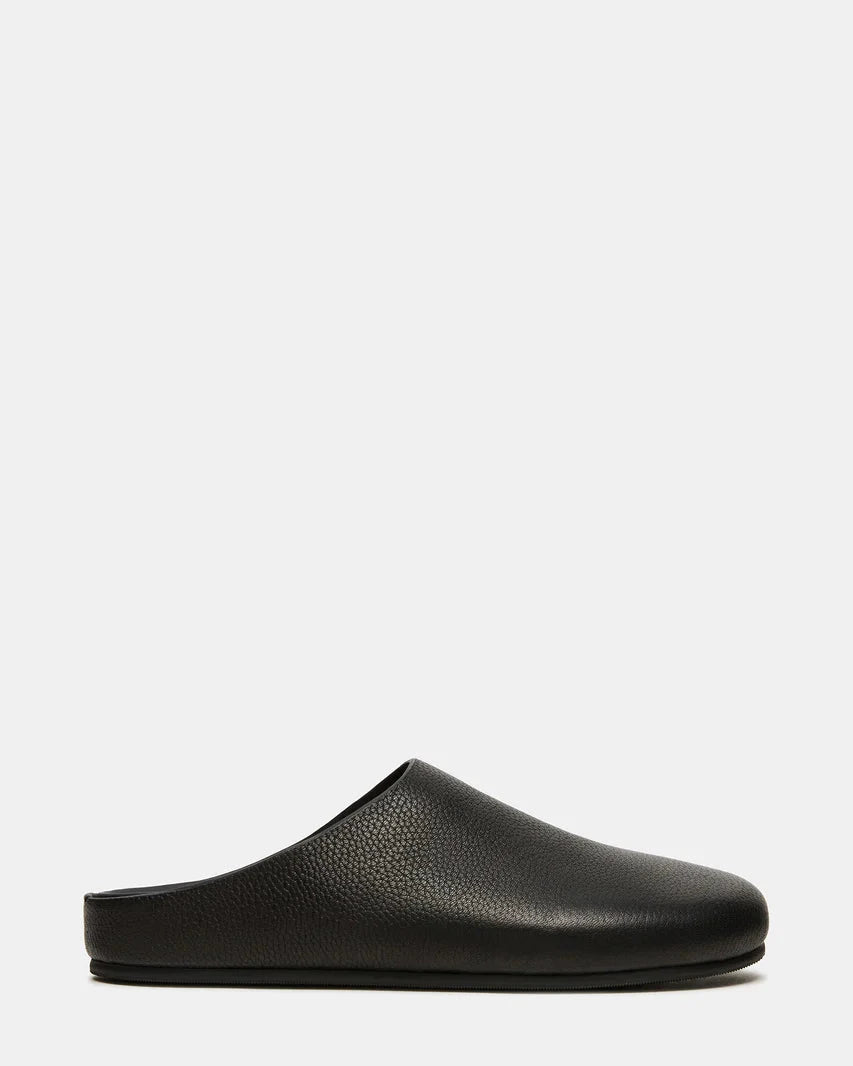 FERN Shoes STEVE MADDEN SHOES 