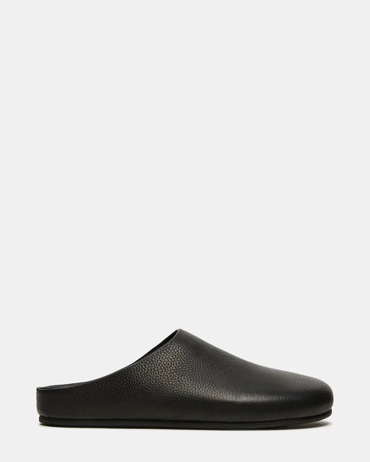 FERN Shoes STEVE MADDEN SHOES 