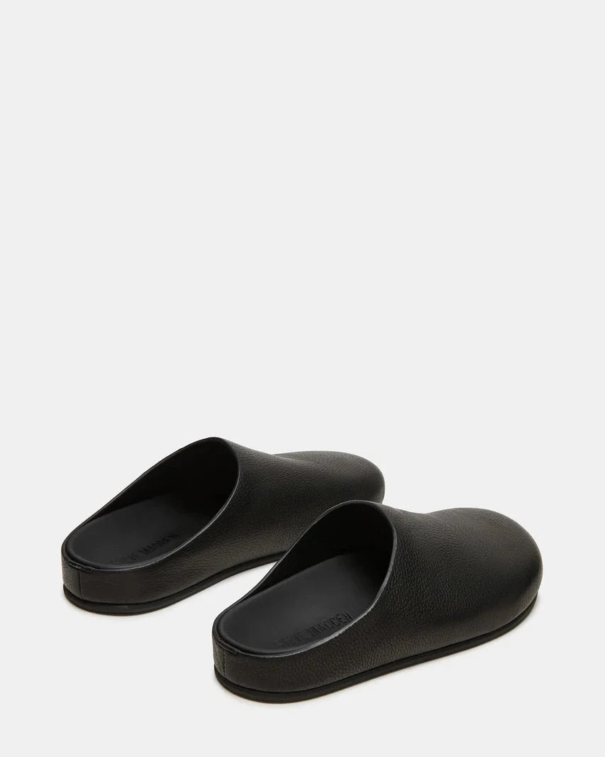 FERN Shoes STEVE MADDEN SHOES 
