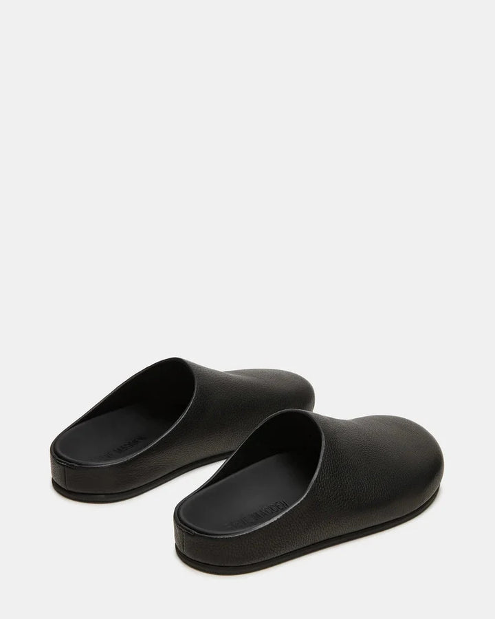 FERN Shoes STEVE MADDEN SHOES 