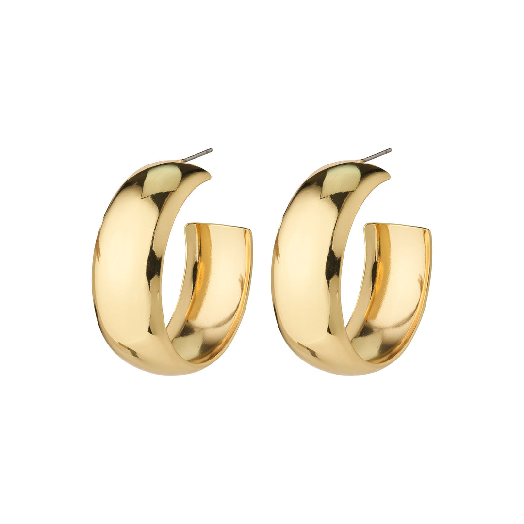NAIA MEGA HOOPS Jewelry PILGRIM 