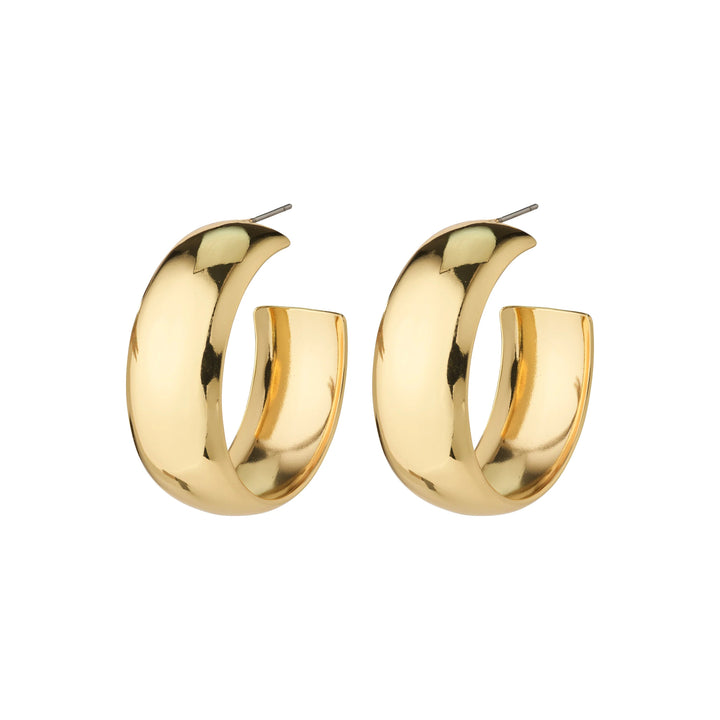 NAIA MEGA HOOPS Jewelry PILGRIM 