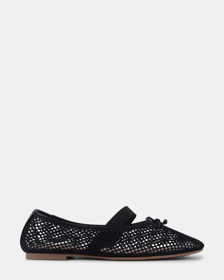 PALM Shoes STEVE MADDEN SHOES 