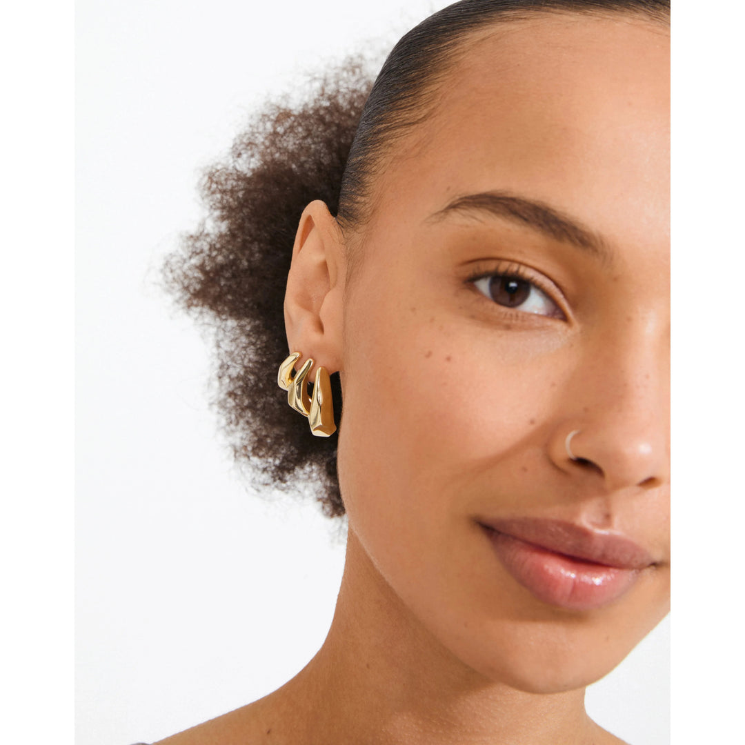 PRESENCE EARRINGS 320 PILGRIM 