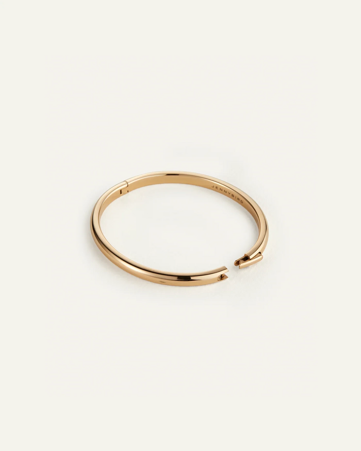 REMI BANGLE Jewelry JENNY BIRD 
