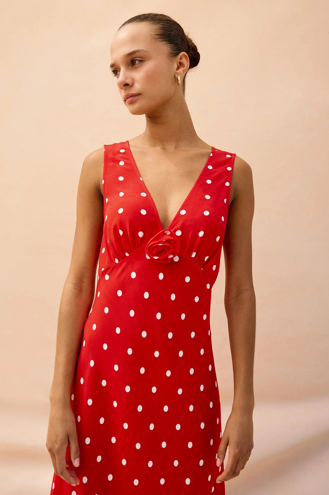TERENA DRESS Dress RAILS 