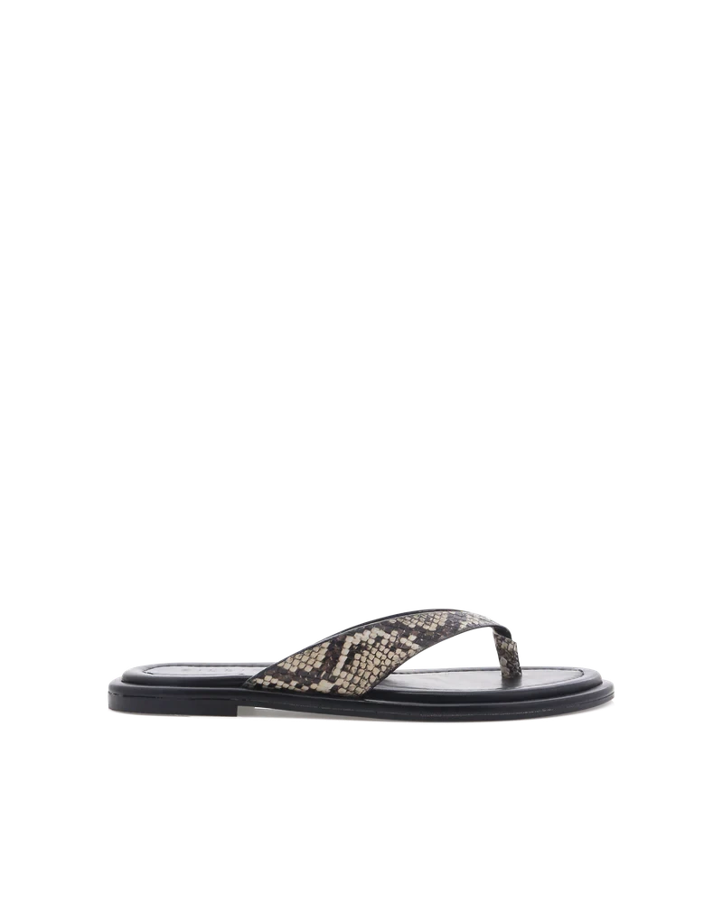 ZENOBIA Shoes BILLINI 
