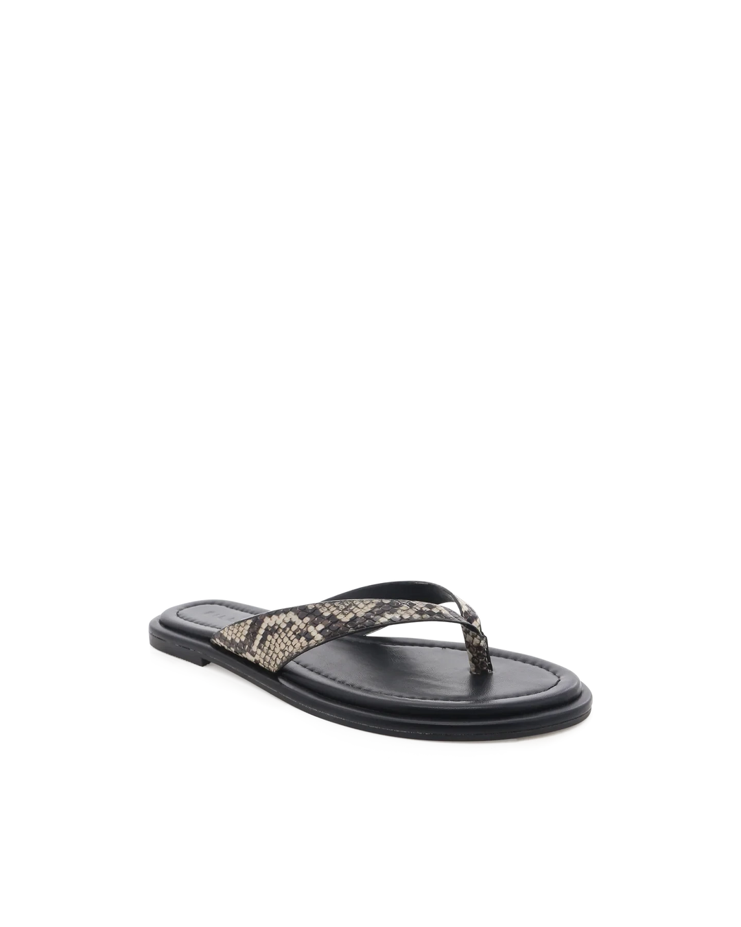 ZENOBIA Shoes BILLINI 5 SNAKE BLACK 